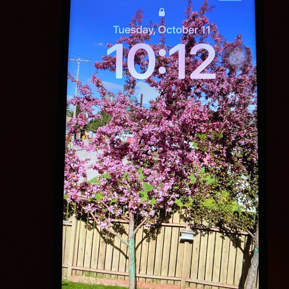 iPhone XS 256 gb